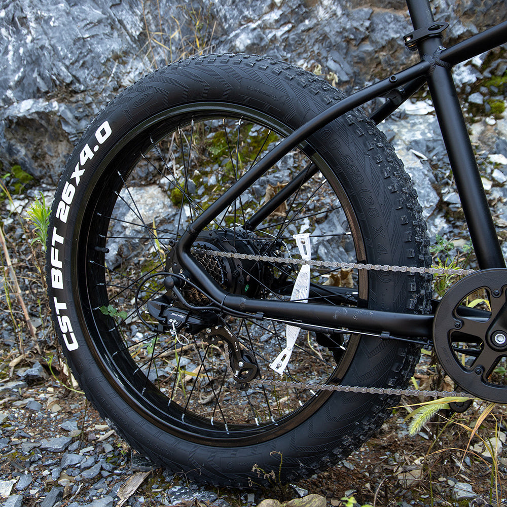 Professional Electric Bike For Adults, 26 X 4.0 Inches Fat Tire Electric Mountain Bicycle, 1000W Motor 48V 15Ah Ebike For Trail Riding, Excursion And Commute, UL And GCC Certified (USA ONLY)