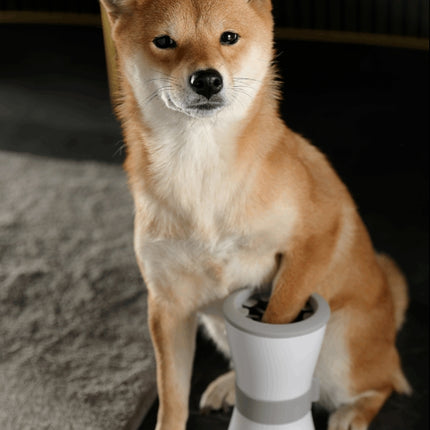 Collection image for: pets