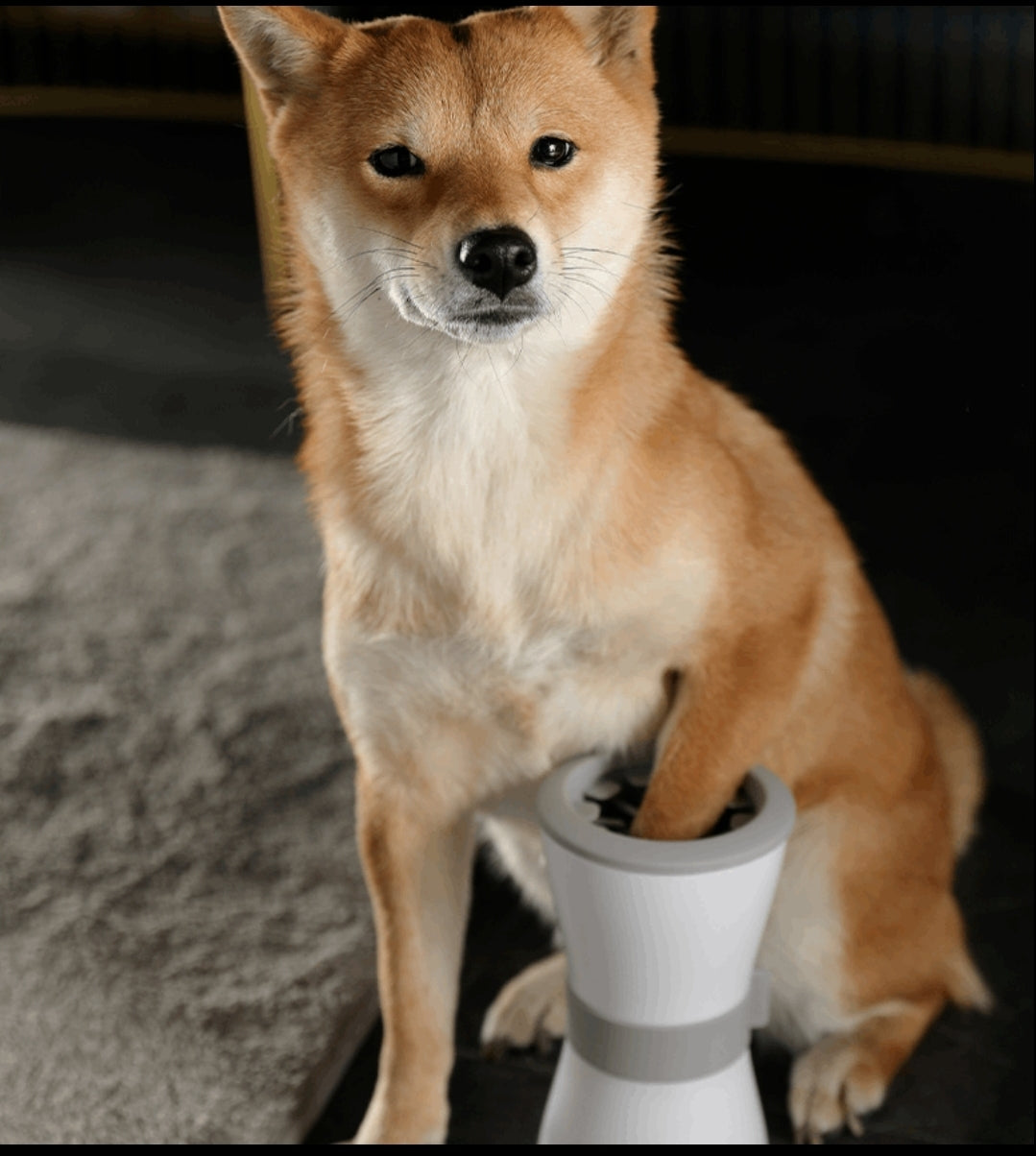 pets