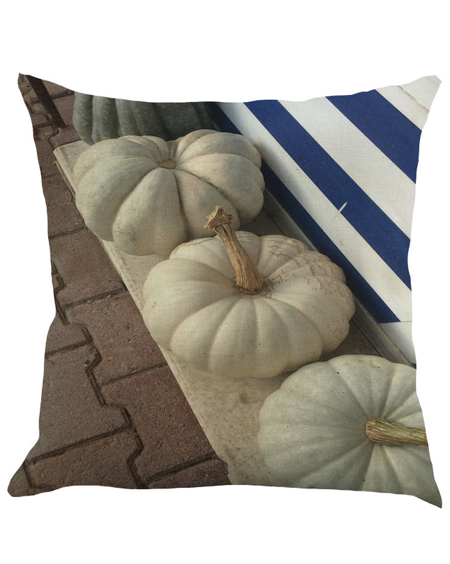 Thanksgiving cushion pillow case