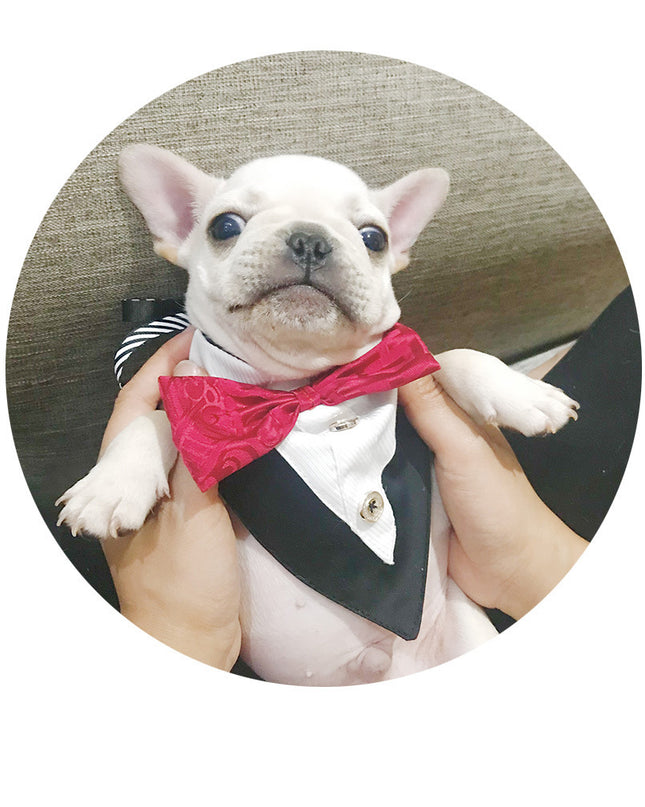 Dog Triangle Bandana Cat Saliva Towel Pet Accessories