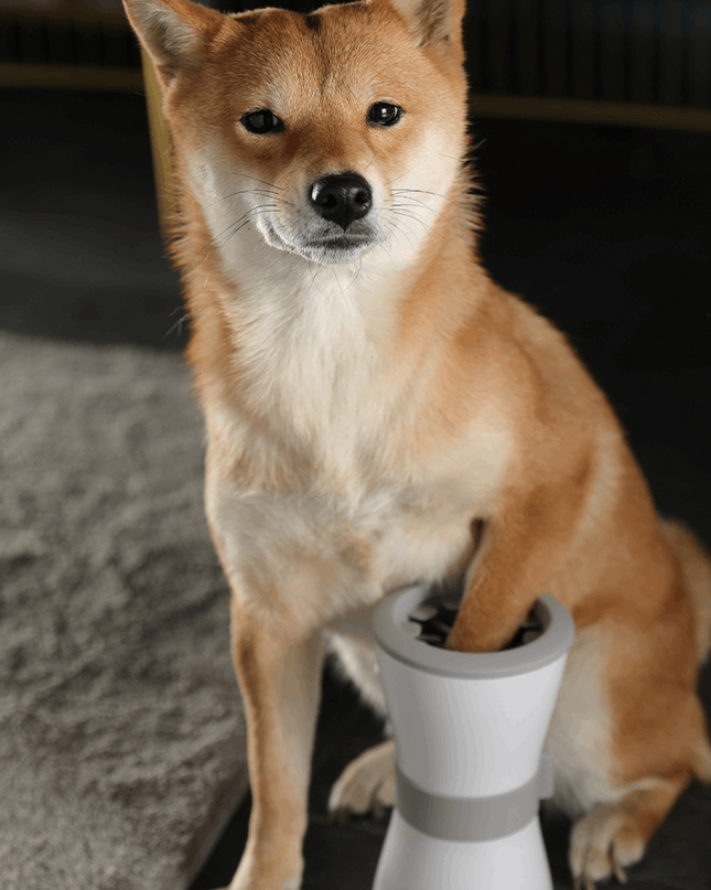 Electric foot washing cups for pets - Here 4 you