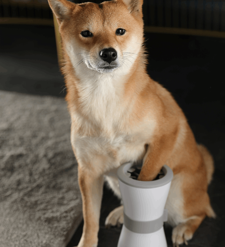 Electric foot washing cups for pets - Here 4 you