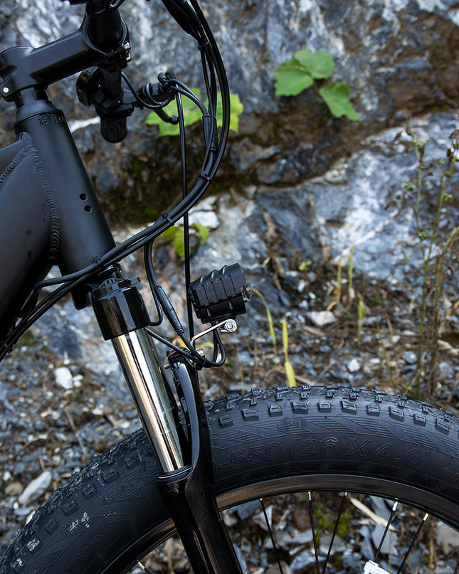 Professional Electric Bike For Adults, 26 X 4.0 Inches Fat Tire Electric Mountain Bicycle, 1000W Motor 48V 15Ah Ebike For Trail Riding, Excursion And Commute, UL And GCC Certified (USA ONLY)