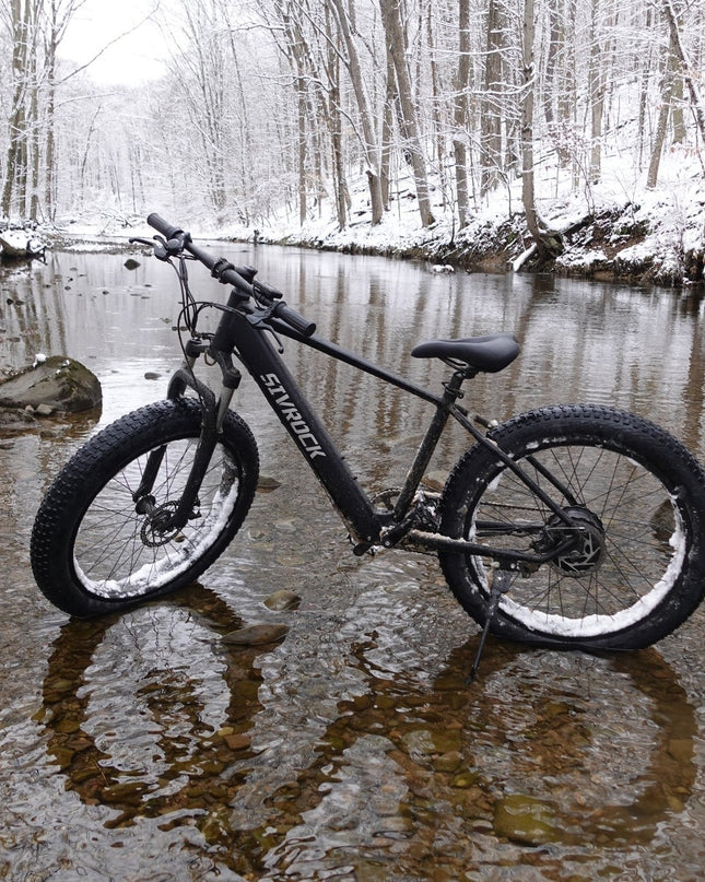 Professional Electric Bike For Adults, 26 X 4.0 Inches Fat Tire Electric Mountain Bicycle, 1000W Motor 48V 15Ah Ebike For Trail Riding, Excursion And Commute, UL And GCC Certified (USA ONLY)