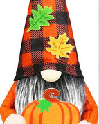 Turkey Holding Pumpkin
