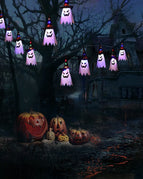 Usb5 pendant ghost curtain lig