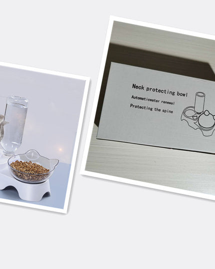 Pet feeder cat bowl