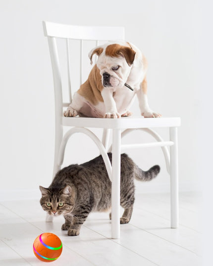 Pet New Cat Wicked Ball Toy Intelligent Ball USB Cat Toys Self Rotating Ball Automatic Rotation Ball