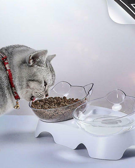 Pet feeder cat bowl