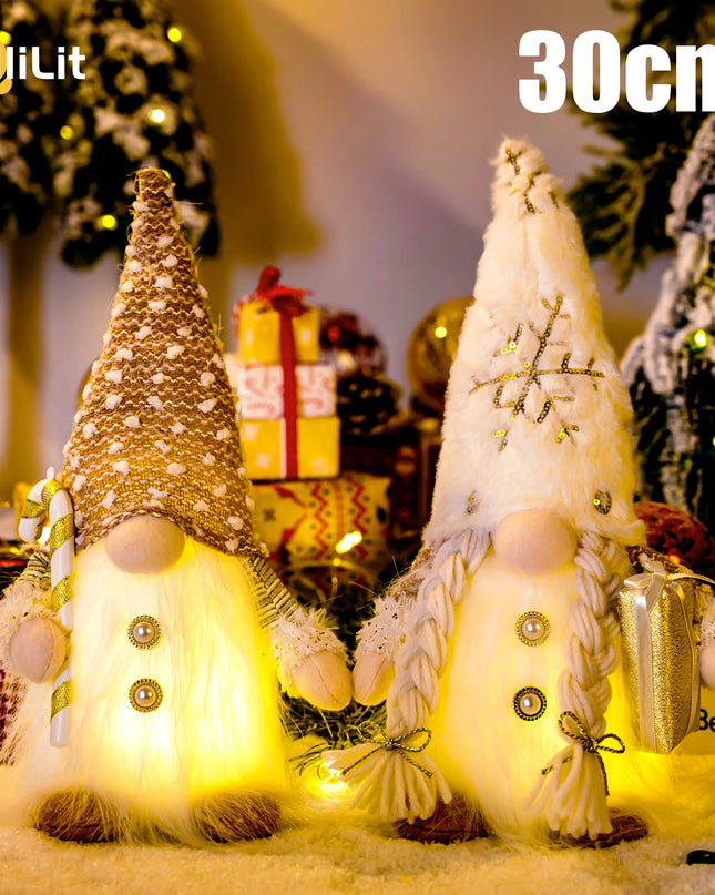 Light-Up Christmas Gnome Decoration™