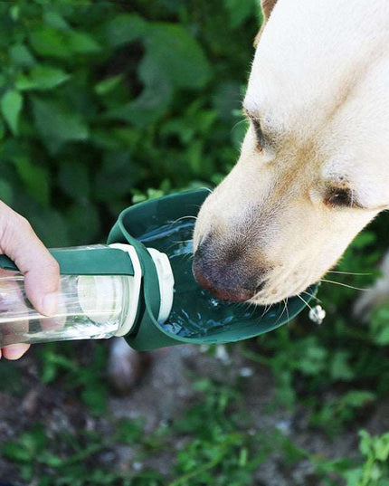 2 In 1 Foldable Multifunction Pet Dog Water Bottle - Here 4 you
