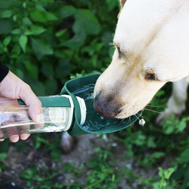 2 In 1 Foldable Multifunction Pet Dog Water Bottle - Here 4 you